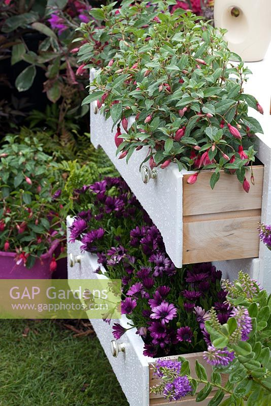 Transforming Your Garden with a Chest of Drawers Garden Planter