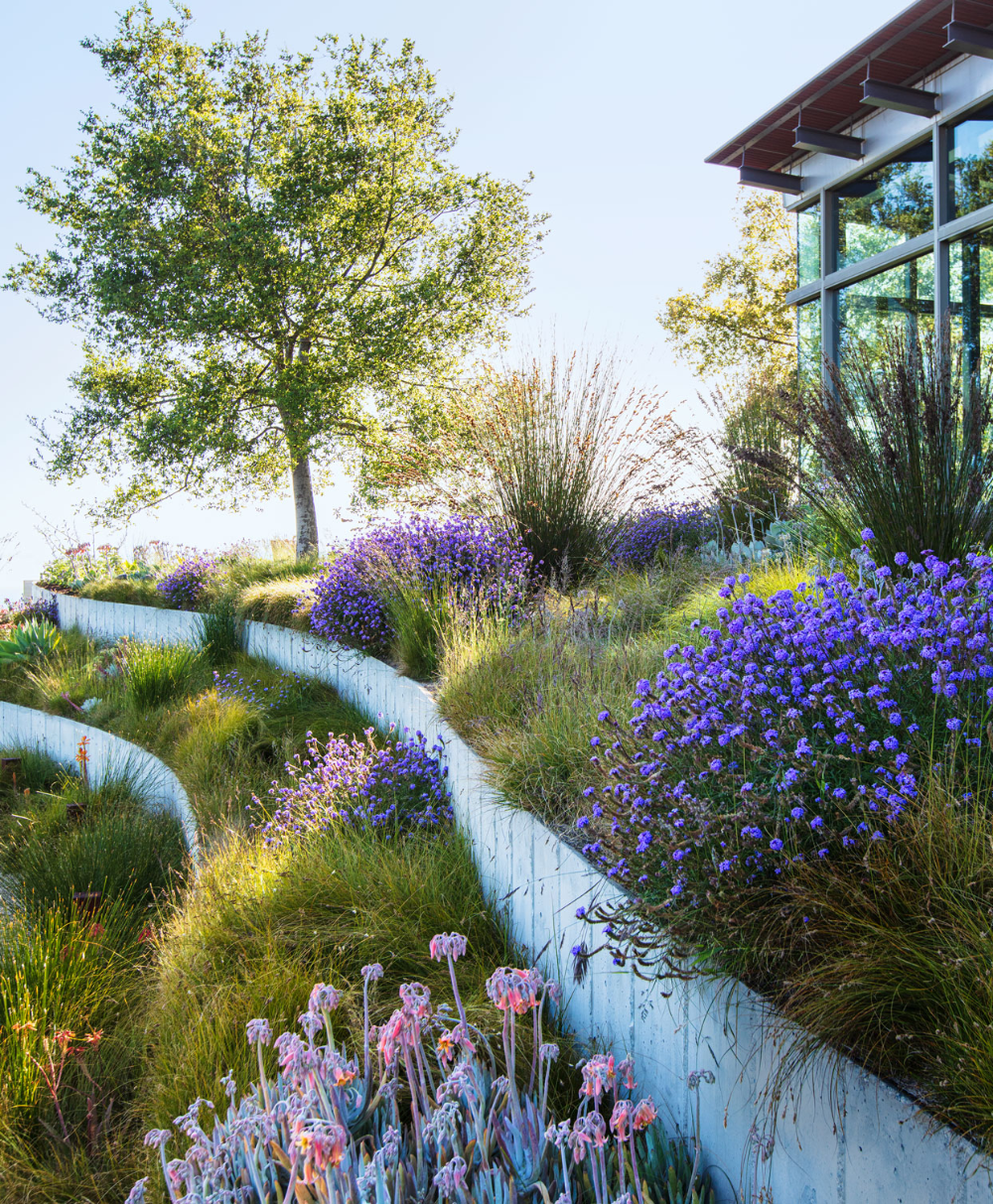 Transforming Your Outdoor Space: The Art of Garden Landscaping