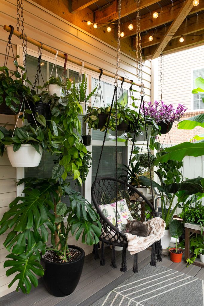 Transforming Your Outdoor Space With Lush Greenery: Patio Ideas Filled With Plants