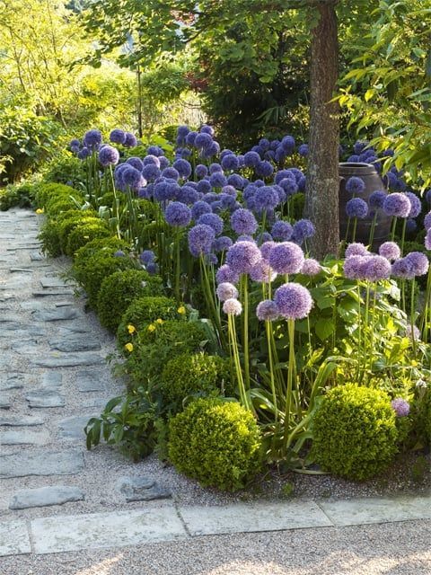 landscaping garden