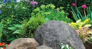 landscaping with large rocks