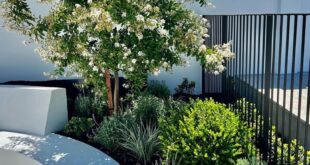 landscaping perth