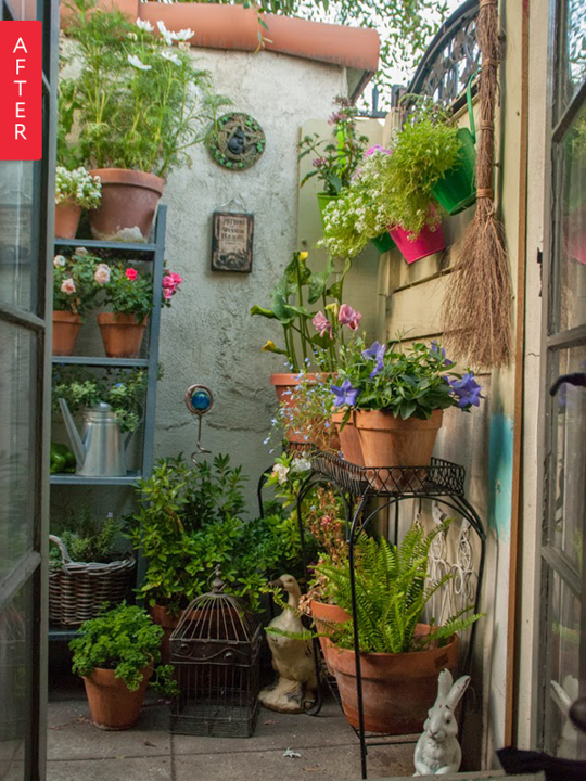 Transforming Your Outdoor Space with a Charming Patio Garden