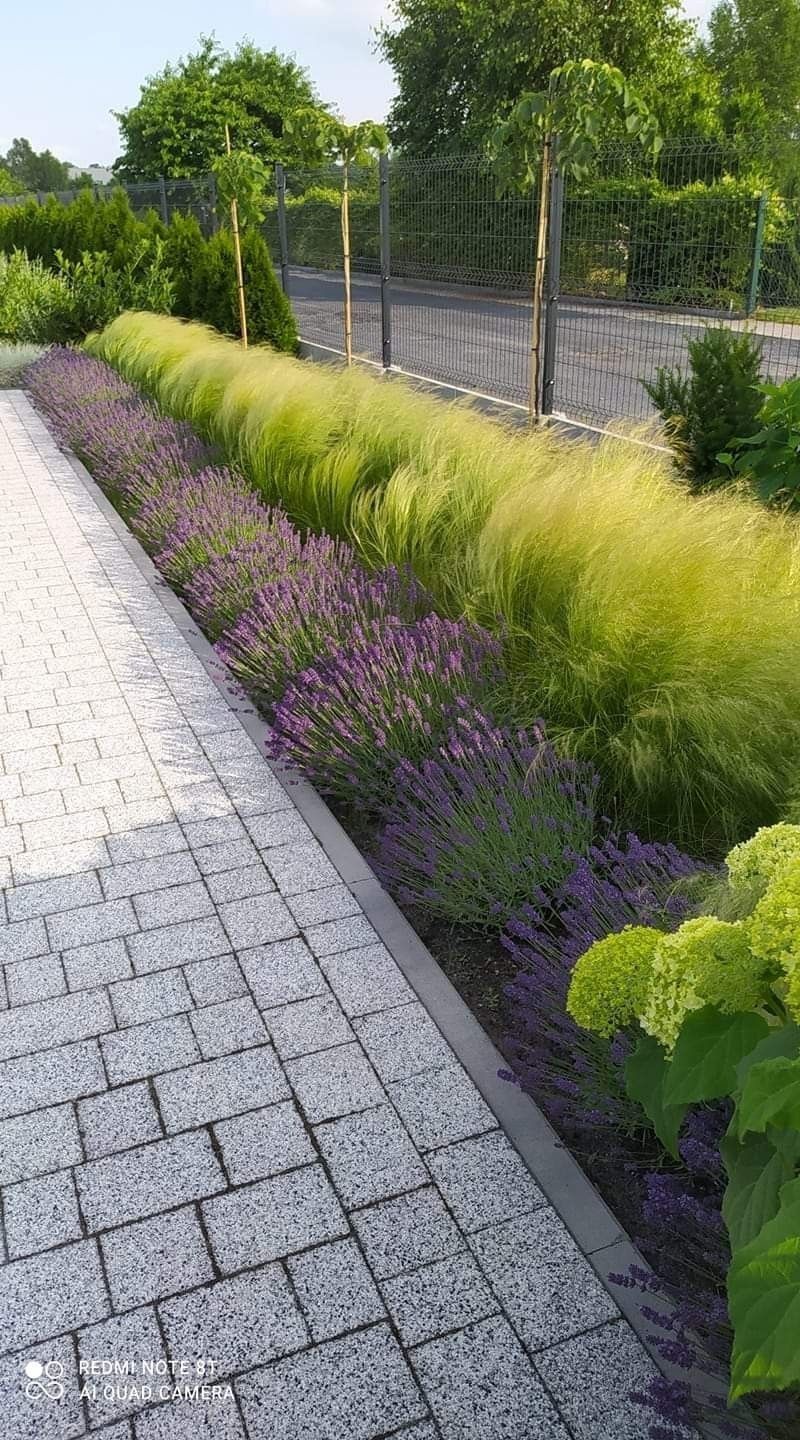 Transforming a Tiny Front Yard with Creative Landscaping