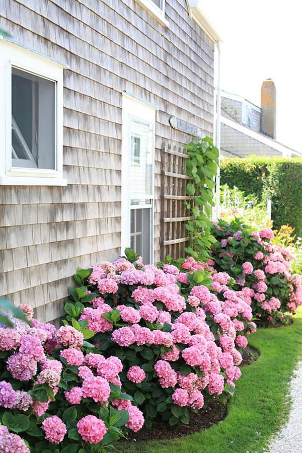 Transforming the Sides of Your Home with Beautiful Landscaping