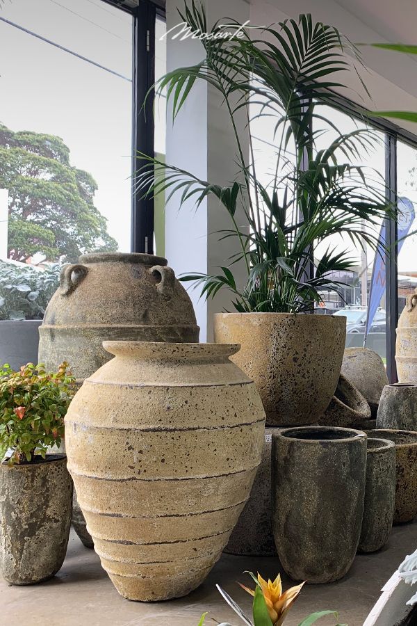 Ultimate Guide to Oversized Garden Pots for a Lush Outdoor Oasis