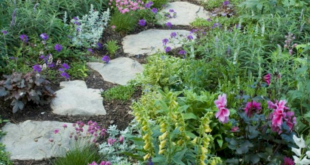 garden design using stones