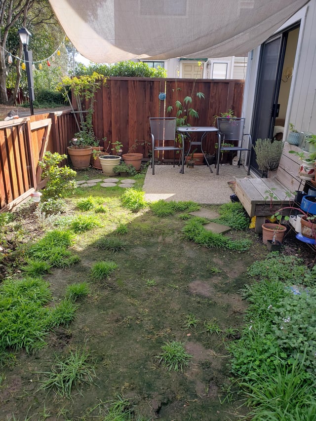 Have any ideas on how to spruce up this backyard for someone with .
