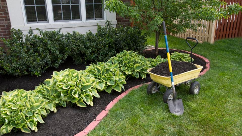 5 Cheap Landscaping Ideas When You're On a Budget – Forbes Ho