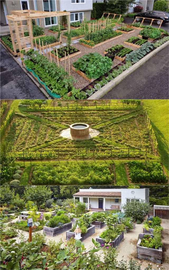 Vegetable Garden Layout: 7 Best Design Secrets - A Piece Of Rainb