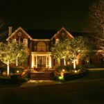 Up and Down: Exterior Lighting Ideas - Seiler's Landscaping .