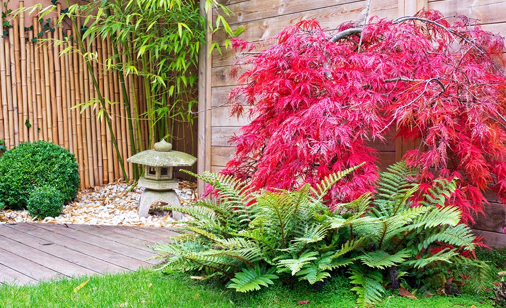 How to Make a Zen Garden - The Home Dep