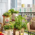 21 Balcony Garden Ideas for Beginners in Small Apartments | Garden .