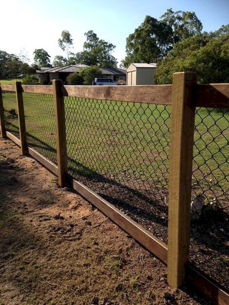 75 Easy Cheap Backyard Privacy Fence Design Ideas - Design Diy .