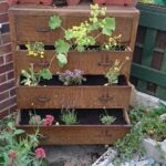 My newly planted chest of drawers garden feature. looks sparse now .