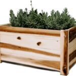 Amazon.com : Thirteen Chefs Villa Acacia Wooden Planter Box - 20 .