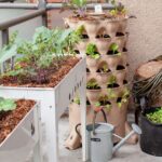 May 9 | Container Gardening | North Branford, CT Pat