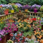 Dreaming of Gardening – Container Gardening Ideas — Harve