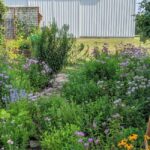 Cottage Garden - UMN Extension Washington County Master Gardener .