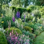 Cottage Garden Design for the Lowcount
