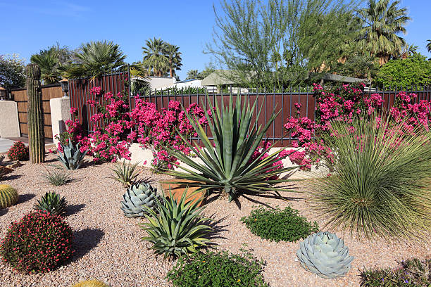 35,900+ Desert Landscaping Stock Photos, Pictures & Royalty-Free .