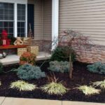 Easy Landscaping Ideas For Beginners