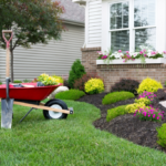 Landscaping on a Budget: 5 Easy Money-Saving Ide