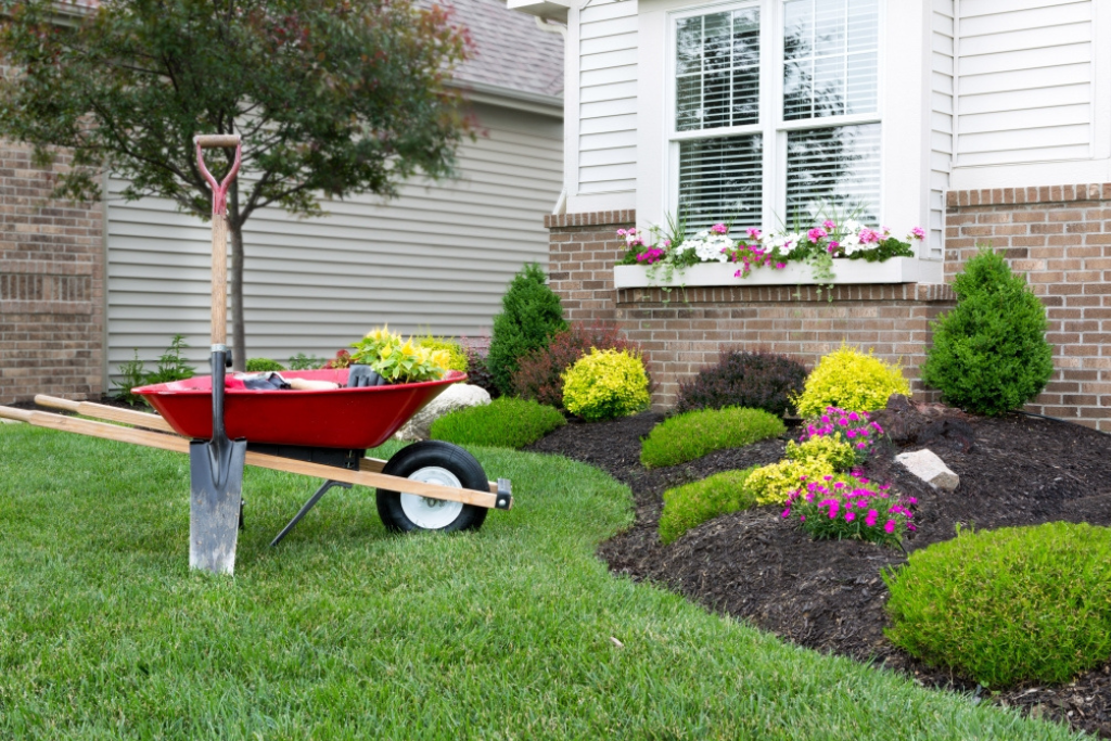 Landscaping on a Budget: 5 Easy Money-Saving Ide