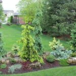 33 Wonderful Evergreen Landscape Ideas For Front Yard | Conifers .
