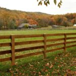 Farm Fence | Wooden Fence in Green Fie