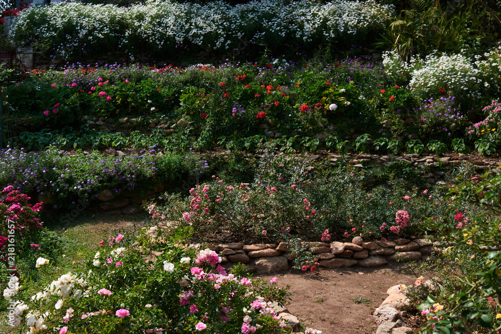 Aesthetic and formal garden design with lines, borders and flower .