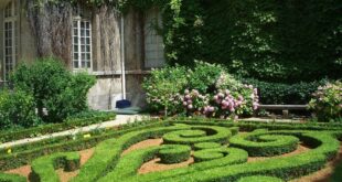 Mastering French Garden Design: Elegant Outdoor Transformatio