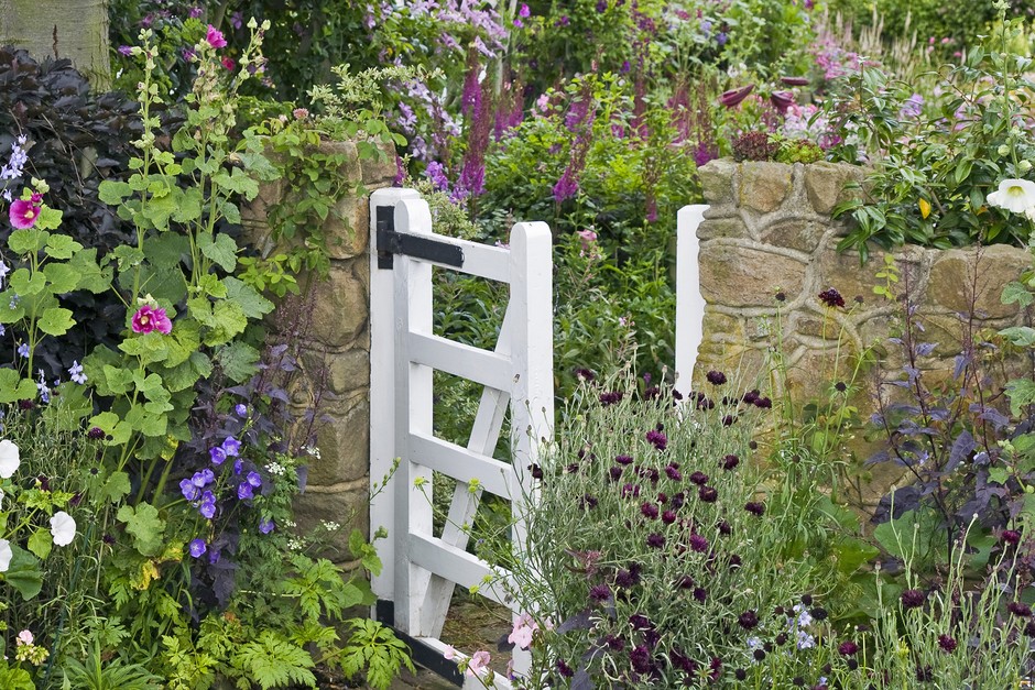 Nine Ideas for Front Gardens | BBC Gardeners World Magazi