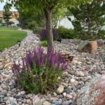 Simple Landscaping and Border Ideas for the Front and Back Yard (202