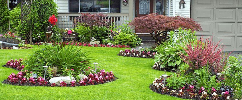 Landscaping and Garden Ideas to Improve Your Front Ya
