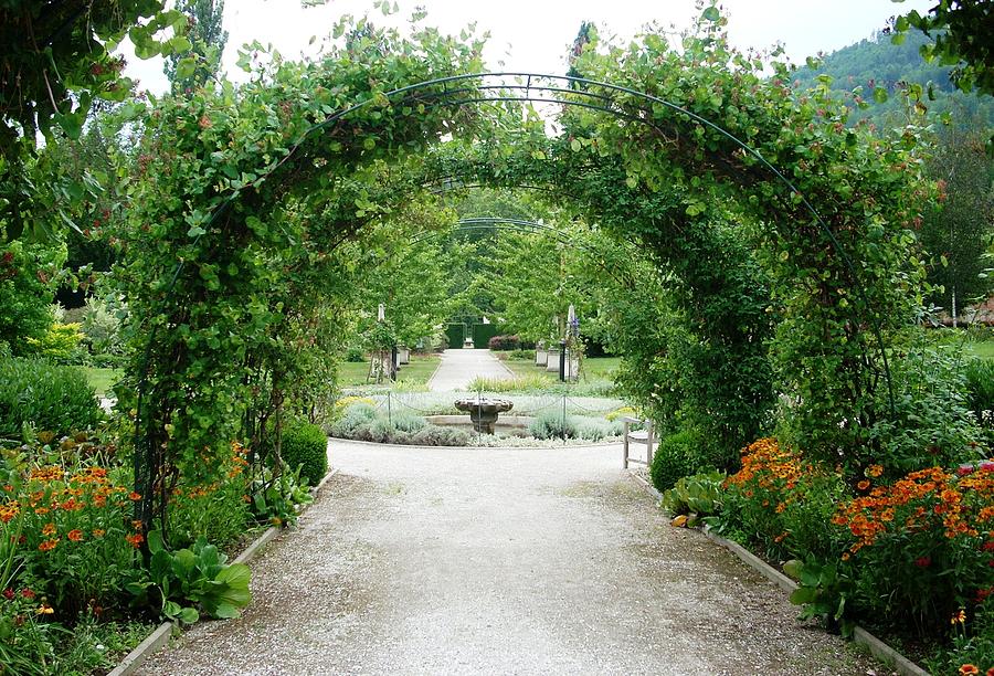 The garden arches Photograph by Kathryn Weswaldi - Pixe
