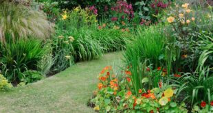 Guide to Garden Borders | BBC Gardeners World Magazi