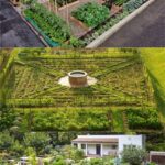 Vegetable Garden Layout: 7 Best Design Secrets - A Piece Of Rainb