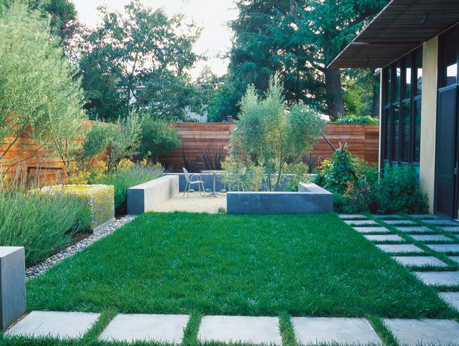 Simple and Sustainable Garden | Garden Desi