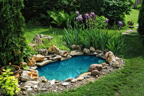 Outdoor Space Improvement: Simple Garden Ideas for Beginners – DK .