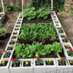 Simple Steps To Start A Garden (for the beginner) | Small .