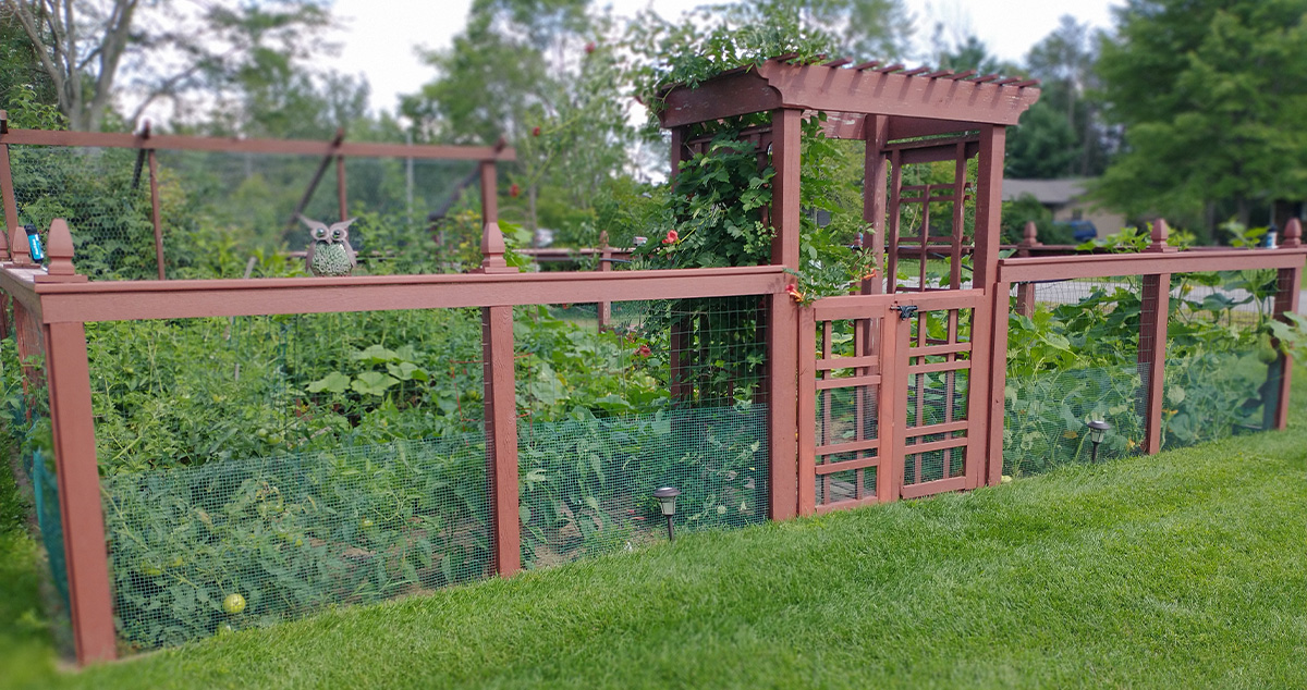 4-Foot Garden Fence - Project by Richard at Menards