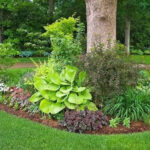 5 Magical Around the Tree Landscaping Ideas - homey