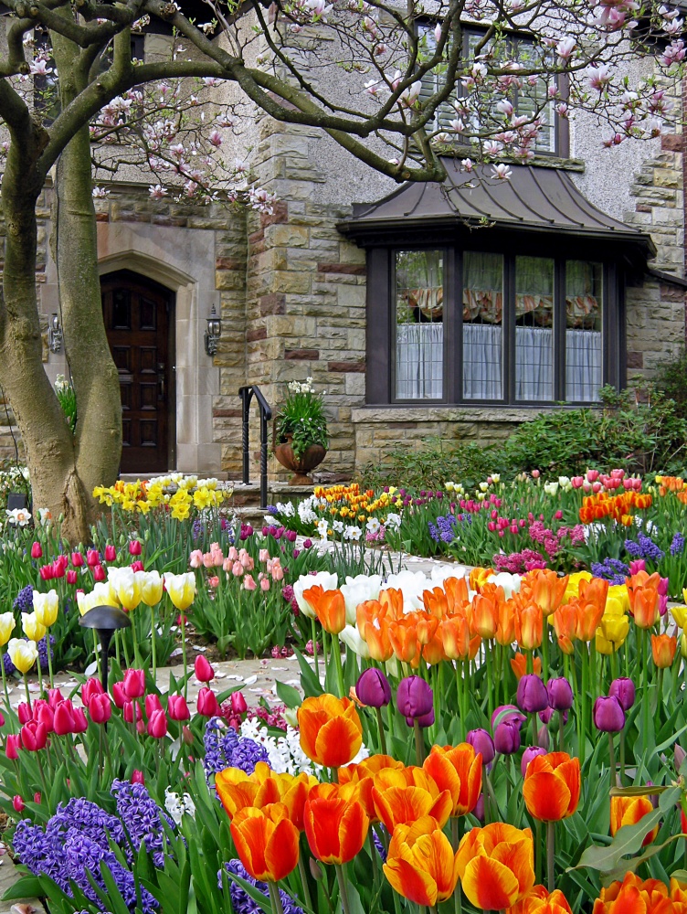 Front Yard Landscape Ideas: Boost Your Home's Value - Town .