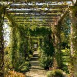 25 Best Pergola Ideas for the Backyard - How to Use a Pergo