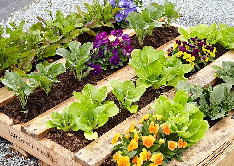 DIY Pallet Raised Garden Bed | Garden Ga