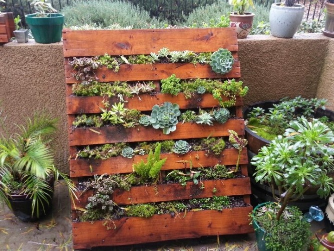 12 Beautiful Pallet Garden Ideas - Roots Nurse