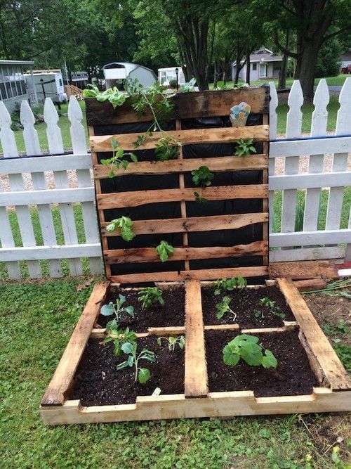 55 DIY Pallet Garden Ideas | Herb garden pallet, Pallet projects .