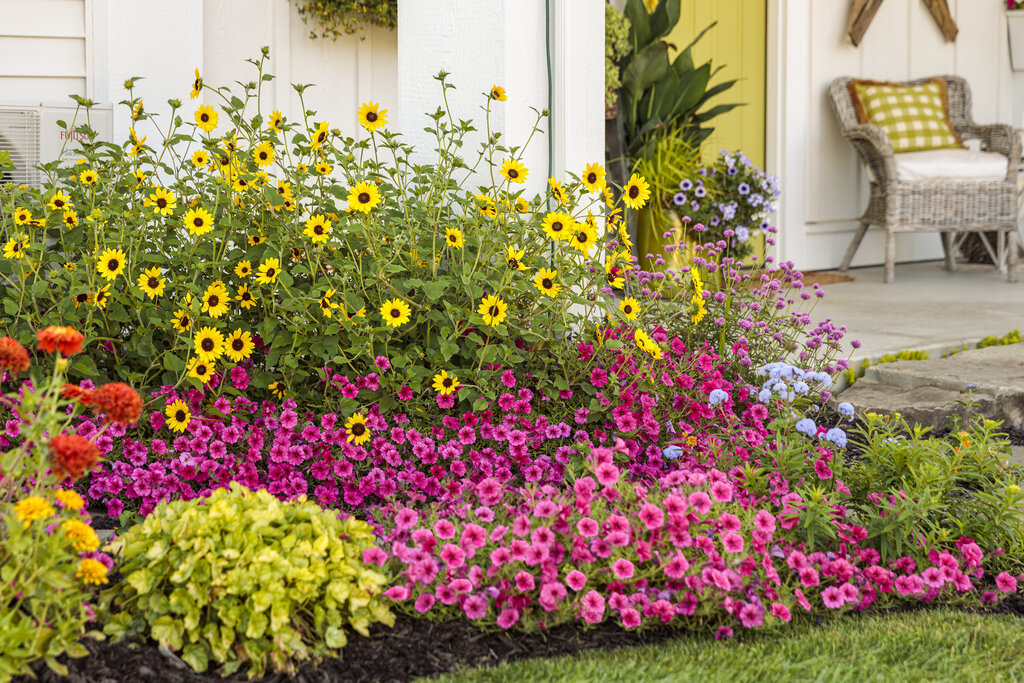 How to Create a Colorful Garden - The Ultimate Guide | Proven Winne