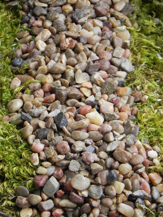 Buy Fairy Garden Pebbles Stones, Pathway Rocks, Terrarium Supply .